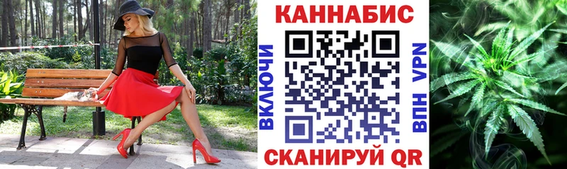 APVP Шенкурск
