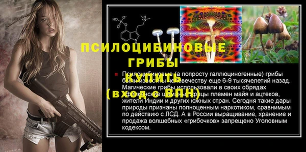 ALPHA-PVP Осинники