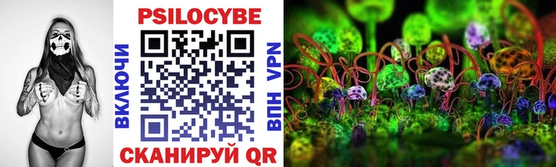 Псилоцибиновые грибы Psilocybine cubensis  кракен как зайти  Шенкурск  наркошоп 